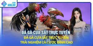 đá gà cựa sắt trực tuyến