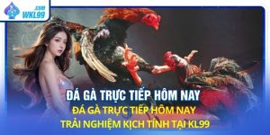 đá gà trực tiếp hôm nay